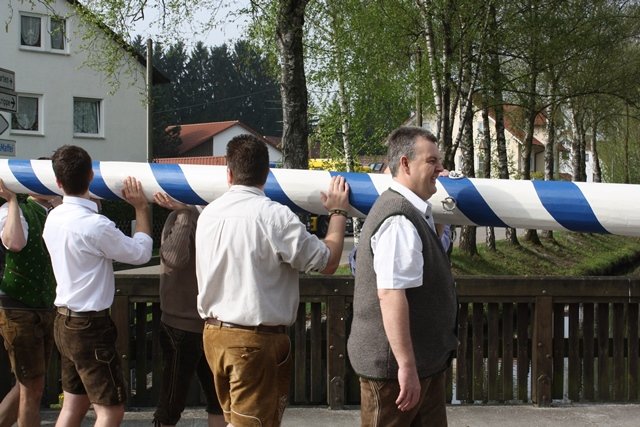 Maibaum 2013